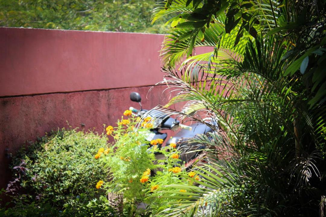 Photo of Others in Pacitan