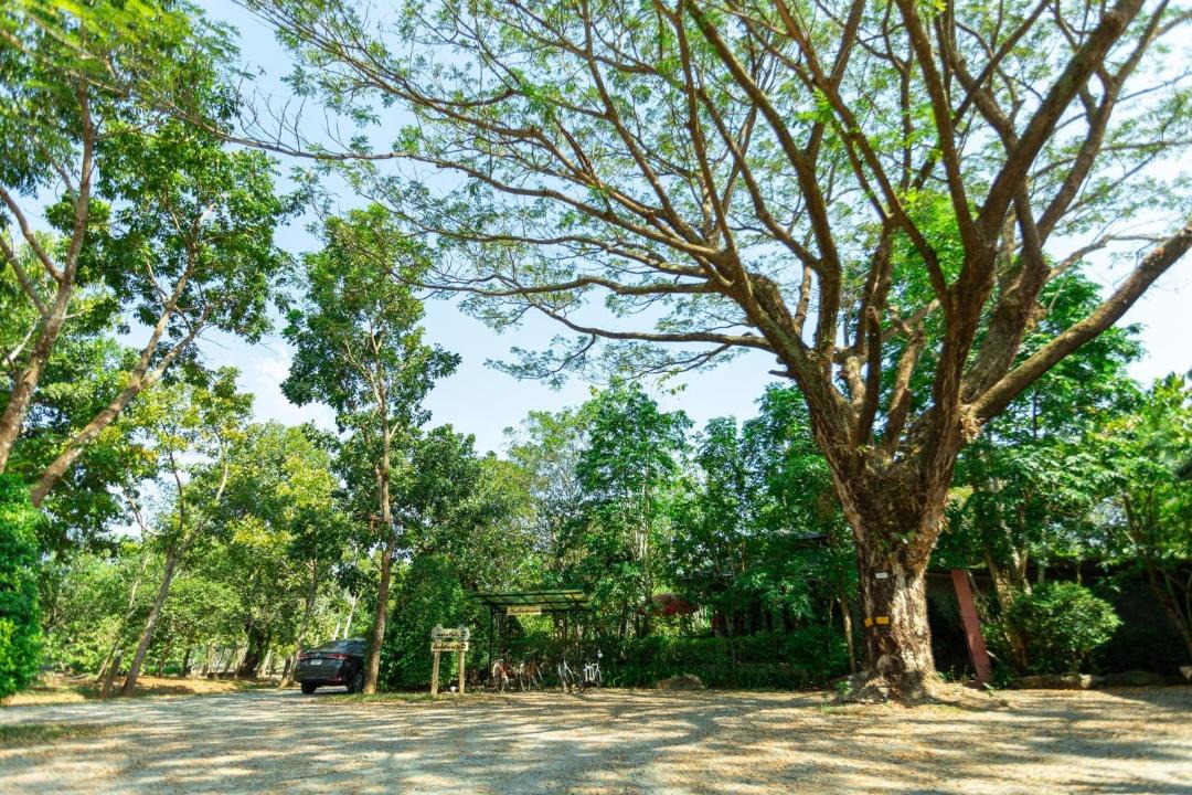 Photo of Outdoor in Chanthaburi