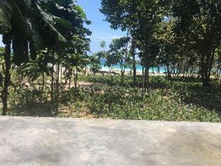 Photo of Others in Koh Rong