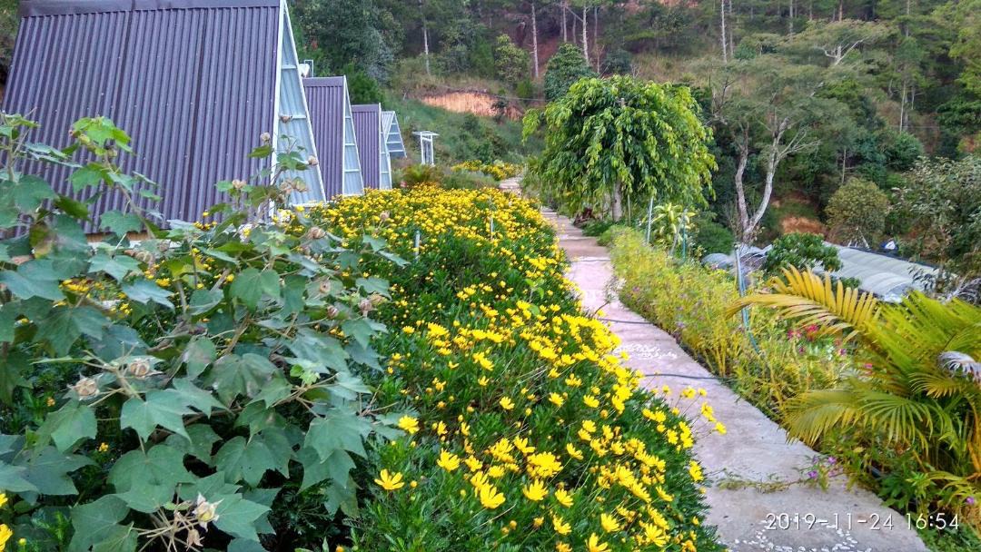 Photo of Others in Da Lat