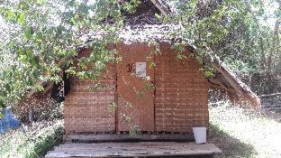 Photo of Others in Pai
