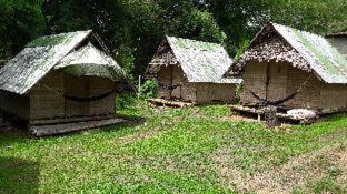 Photo of Others in Pai
