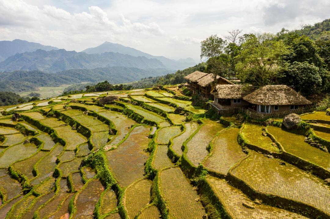 Photo of Others in Pu Long Nature Reserve