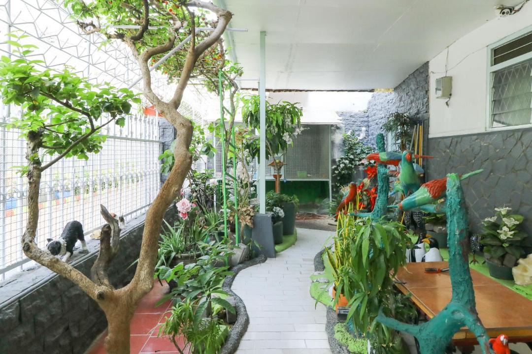 Photo of Patio Balcony in Malang