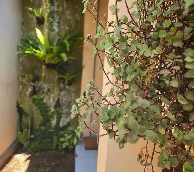 Photo of Patio Balcony in Gili Trawangan