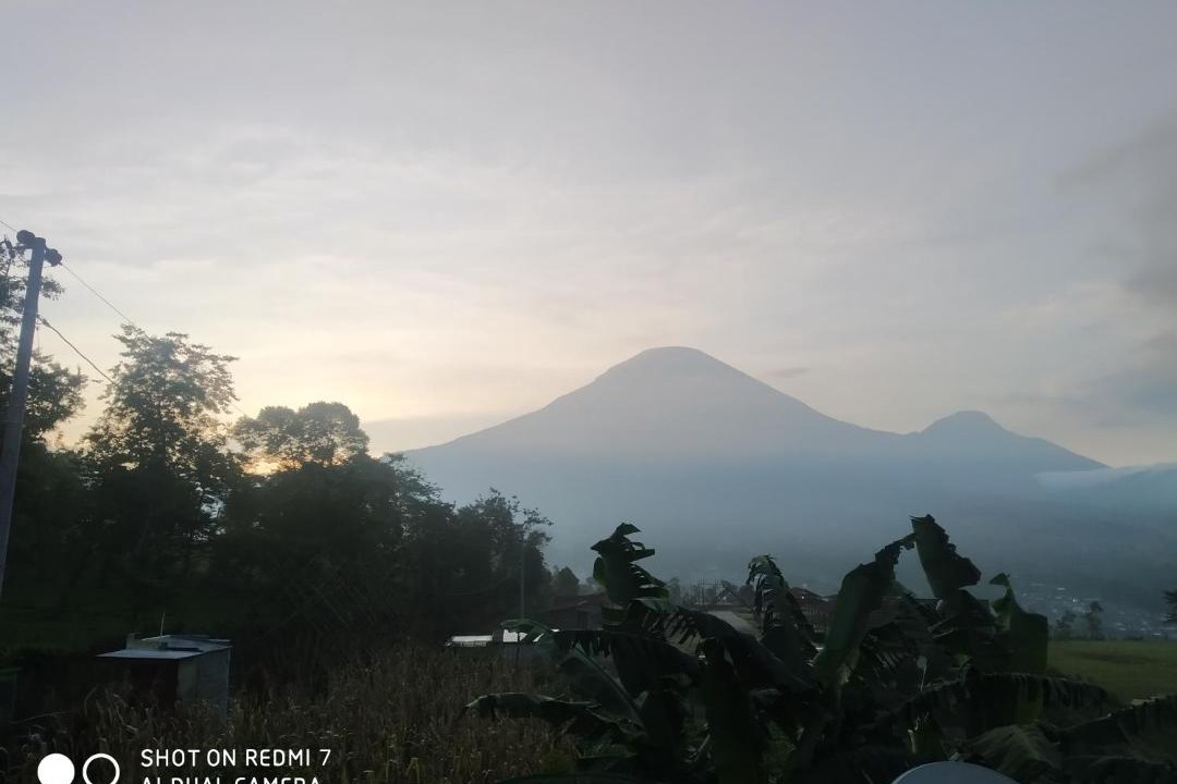 Photo of Others in Wonosobo