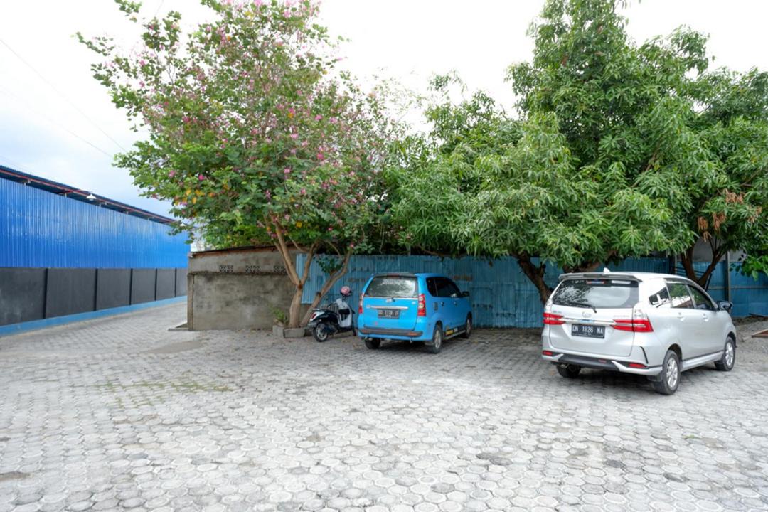 Photo of Others in Palu