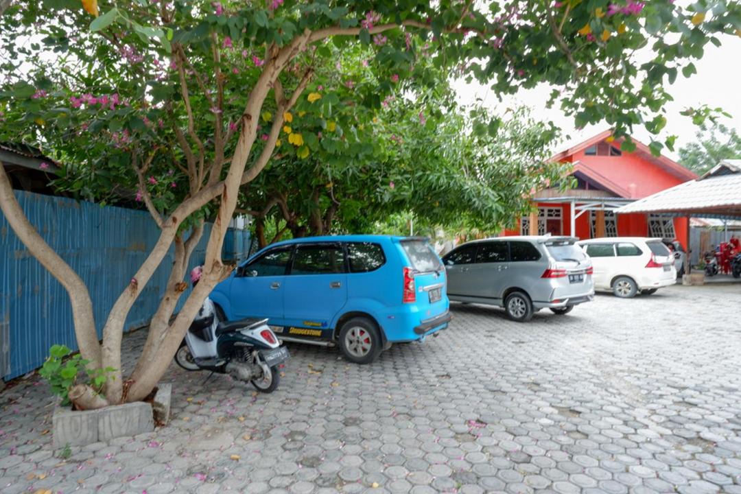 Photo of Others in Palu