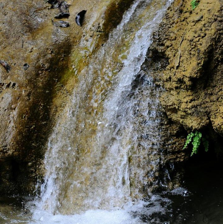 Photo of Others in Pu Long Nature Reserve