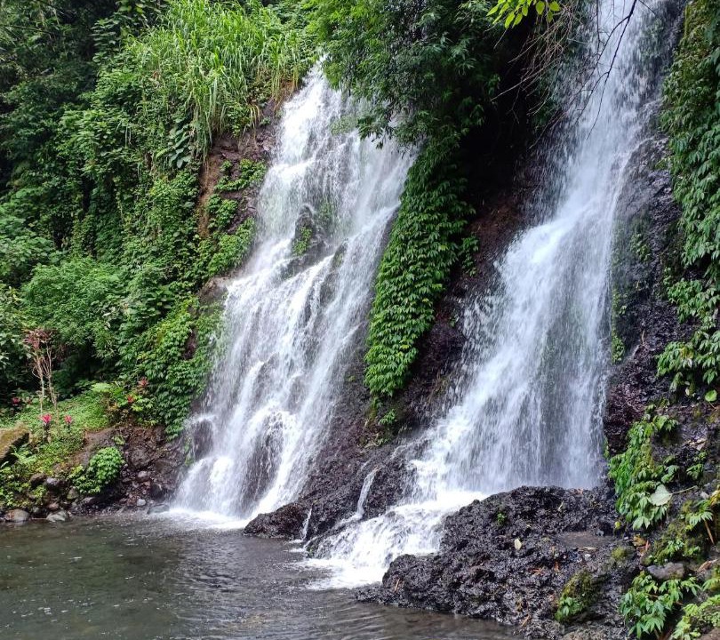 Photo of Others in Tamansuruh
