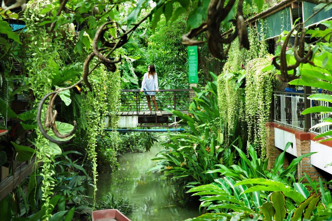 Photo of Others in Samut Songkhram