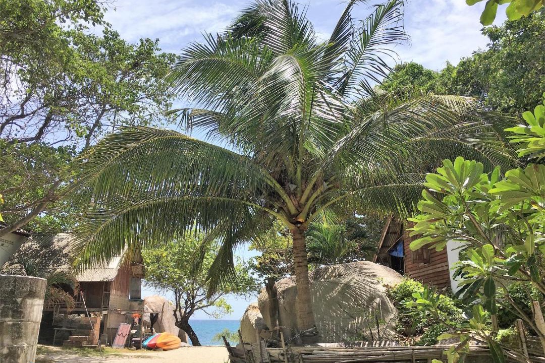 Photo of Others in Koh Tao
