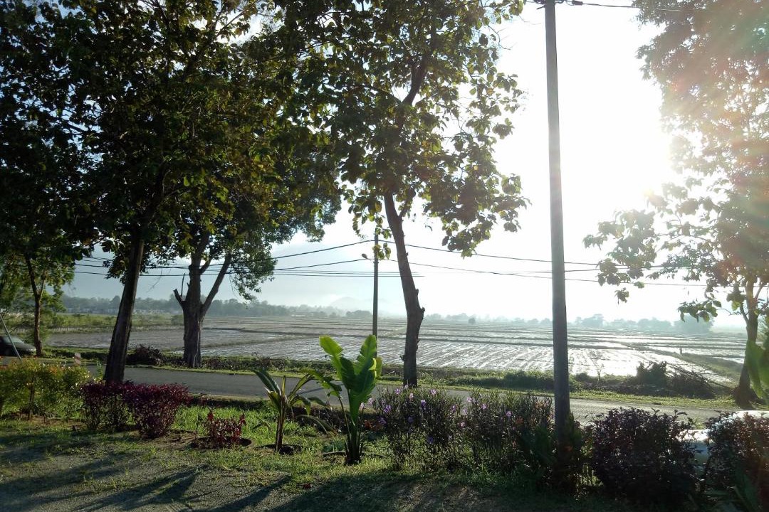 Photo of Others in Simpang Kenyum