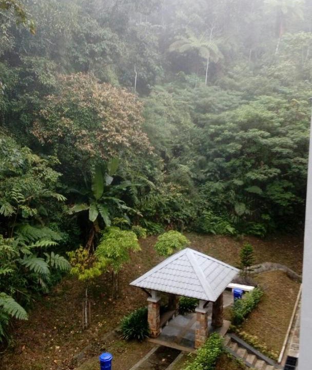 Photo of Others in Tanah Rata