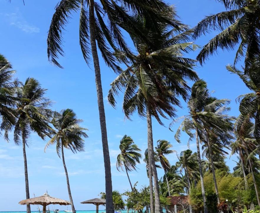 Photo of Outdoor in Karimunjava