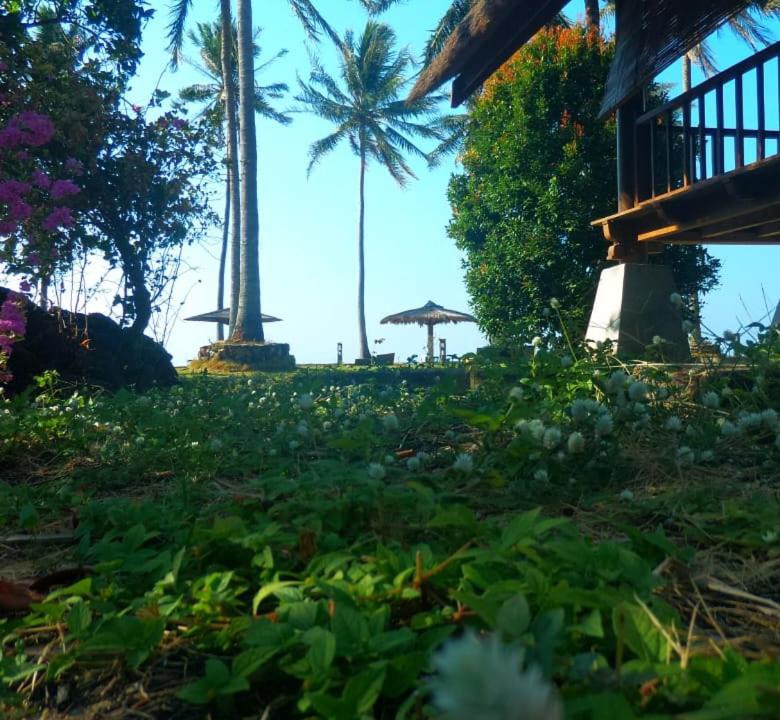 Photo of Others in Karimunjava