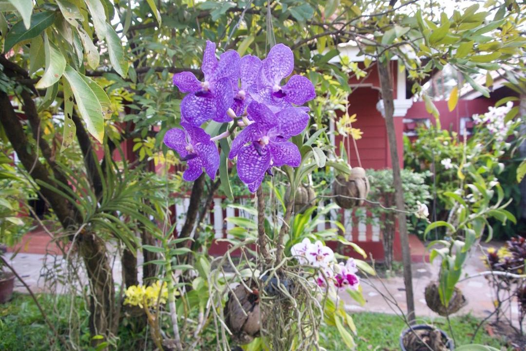 Photo of Others in Kampot