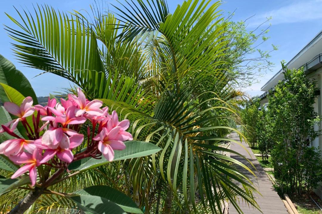 Photo of Others in Chenek Kura