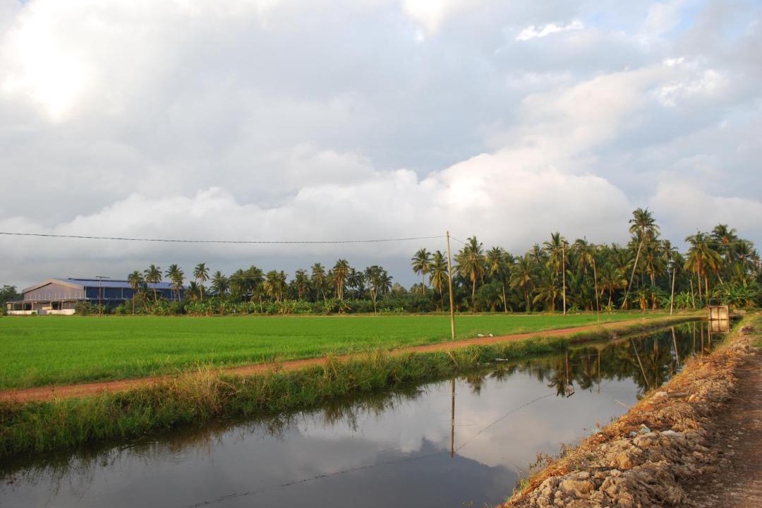 Photo of Outdoor in Sekinchan