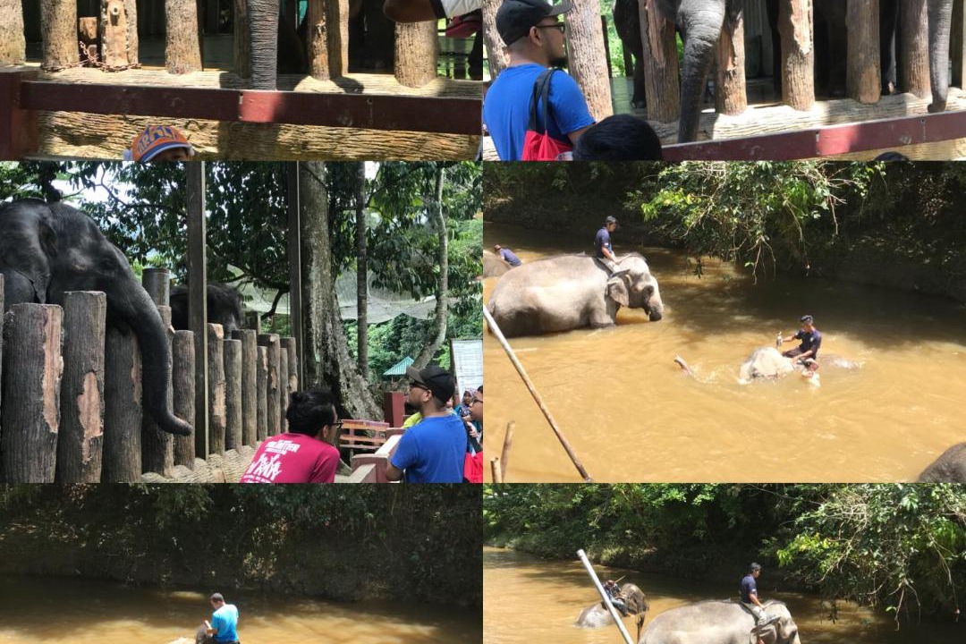 Photo of Others in Temerloh