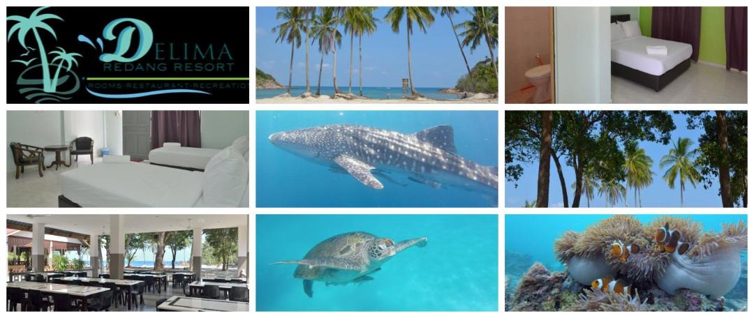 Photo of Others in Redang Island