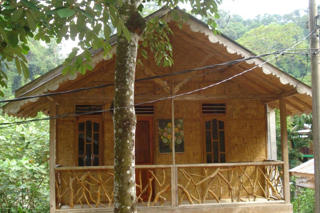 Photo of Others in Bukit Lawang