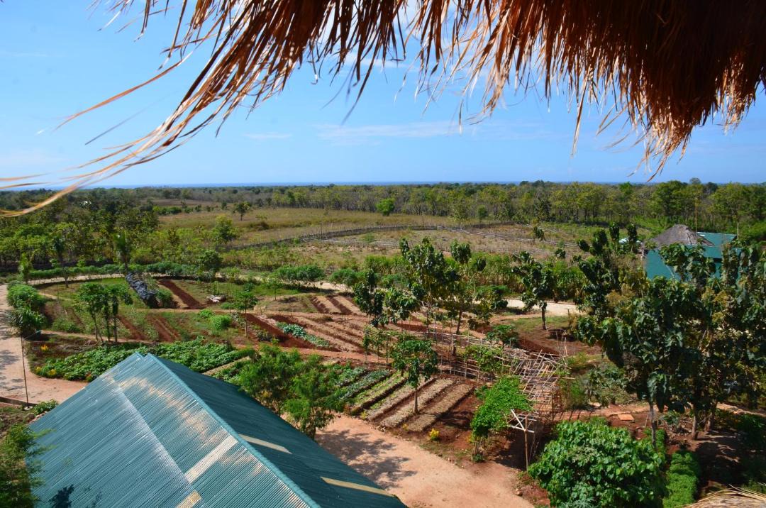 Photo of Others in Southwest Sumba