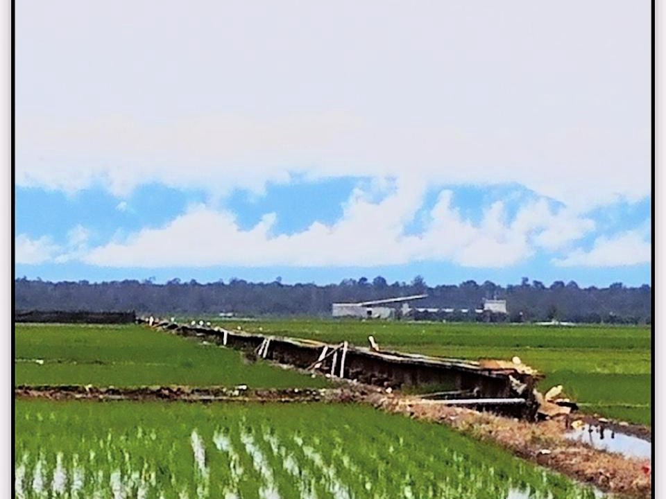 Photo of Others in Sekinchan