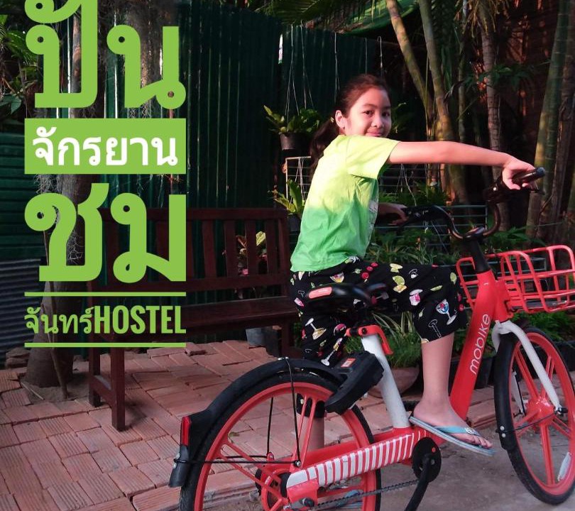 Photo of Others in Chiang Mai