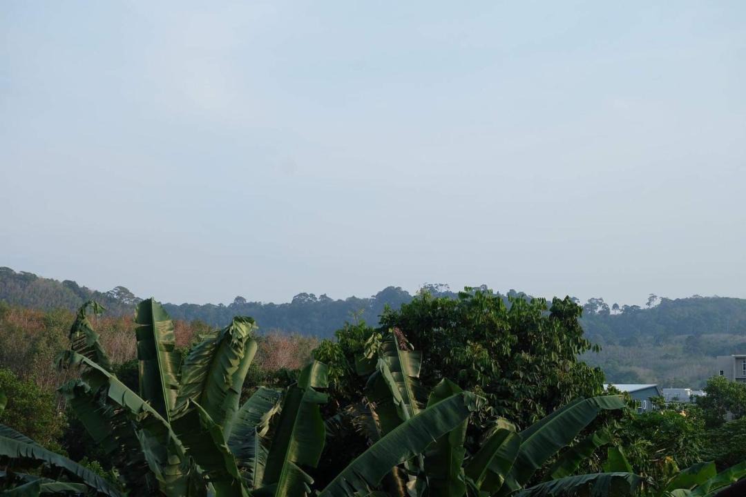 Photo of Others in Ban Bo Han