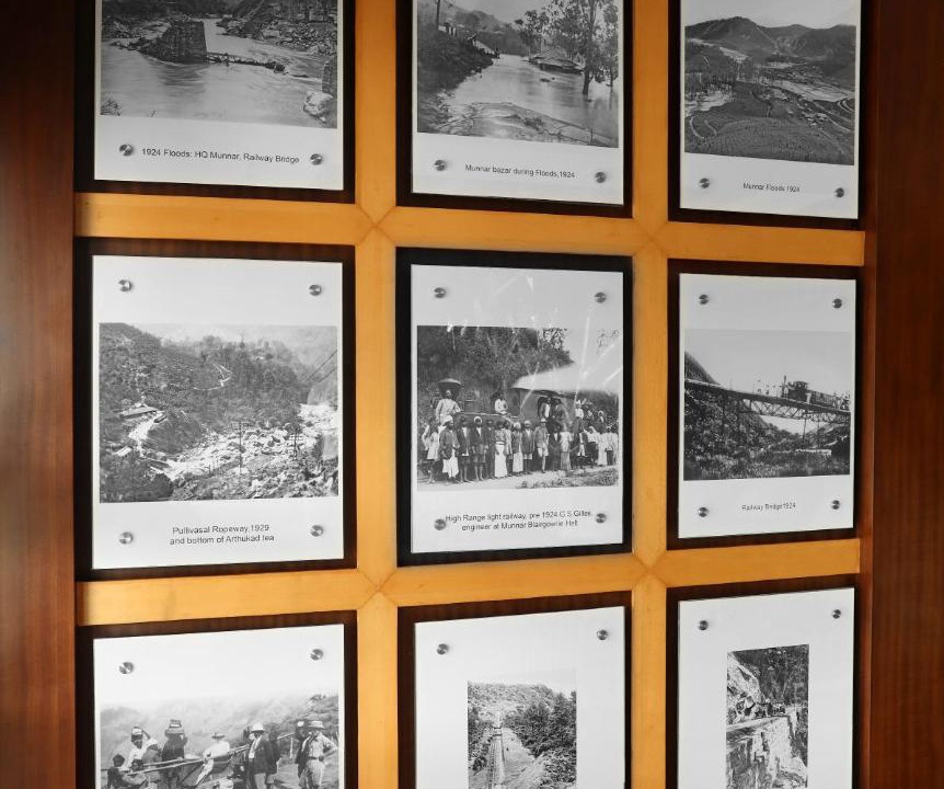 Photo of Others in Munnar