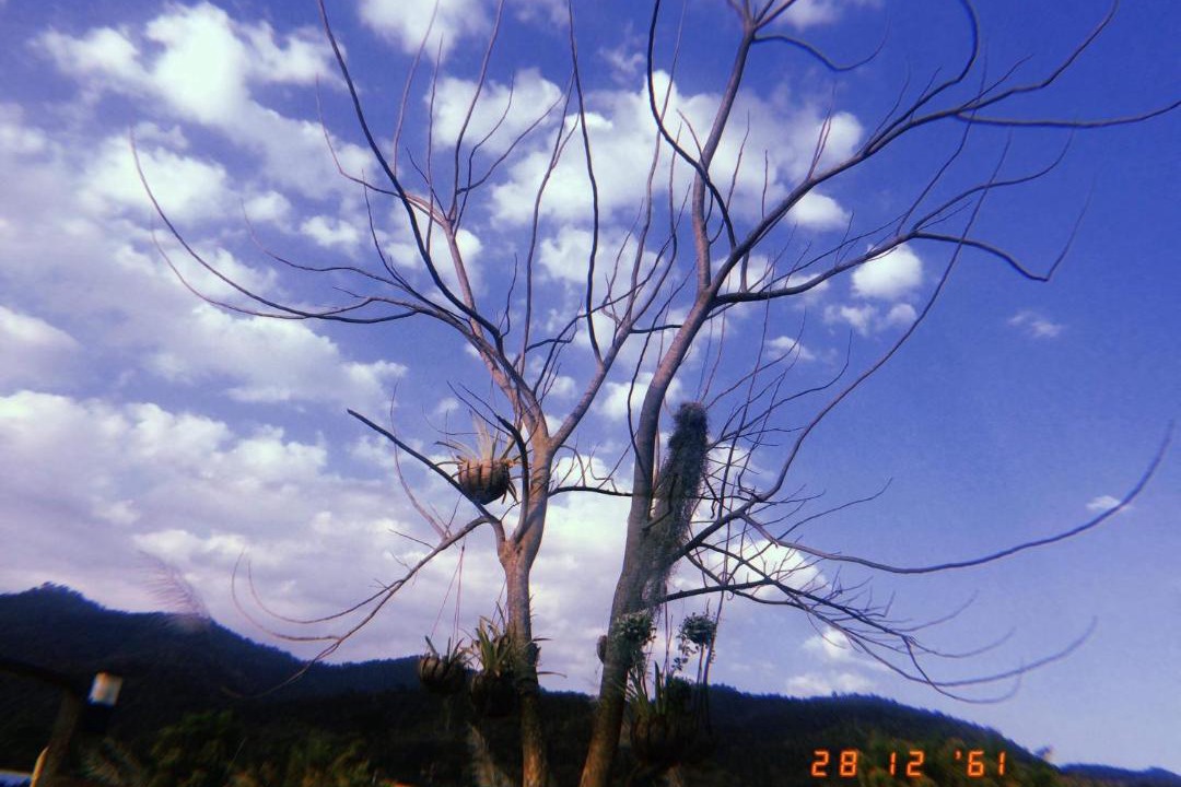 Photo of Others in Mae Ai