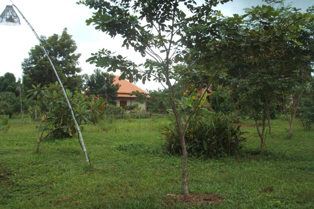 Photo of Others in Ou Chum