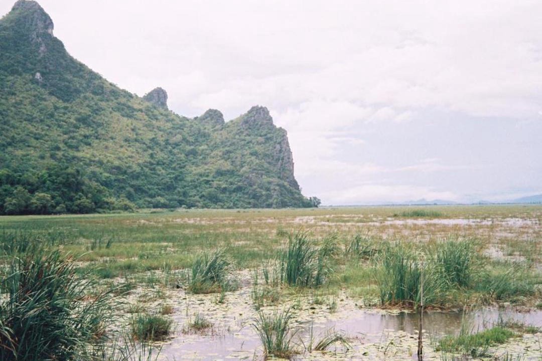 Photo of Others in Sam Roi Yot