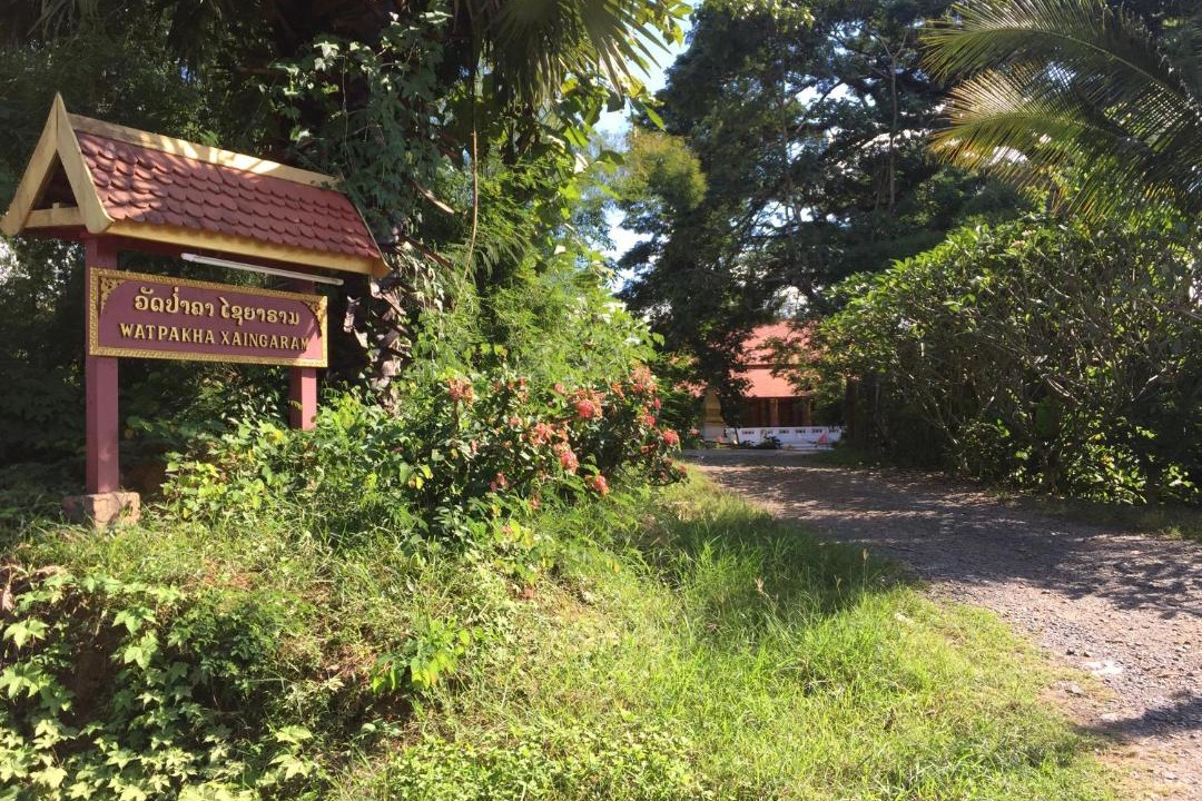 Photo of Others in Luang Prabang