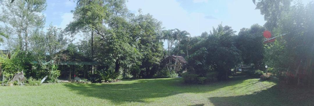 Photo of Others in Chiang Dao