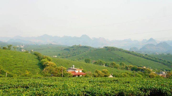 Photo of Others in Moc Chau