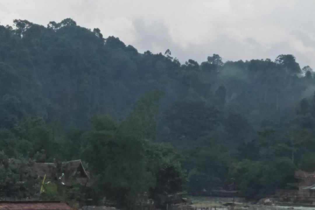 Photo of Outdoor in Bukit Lawang