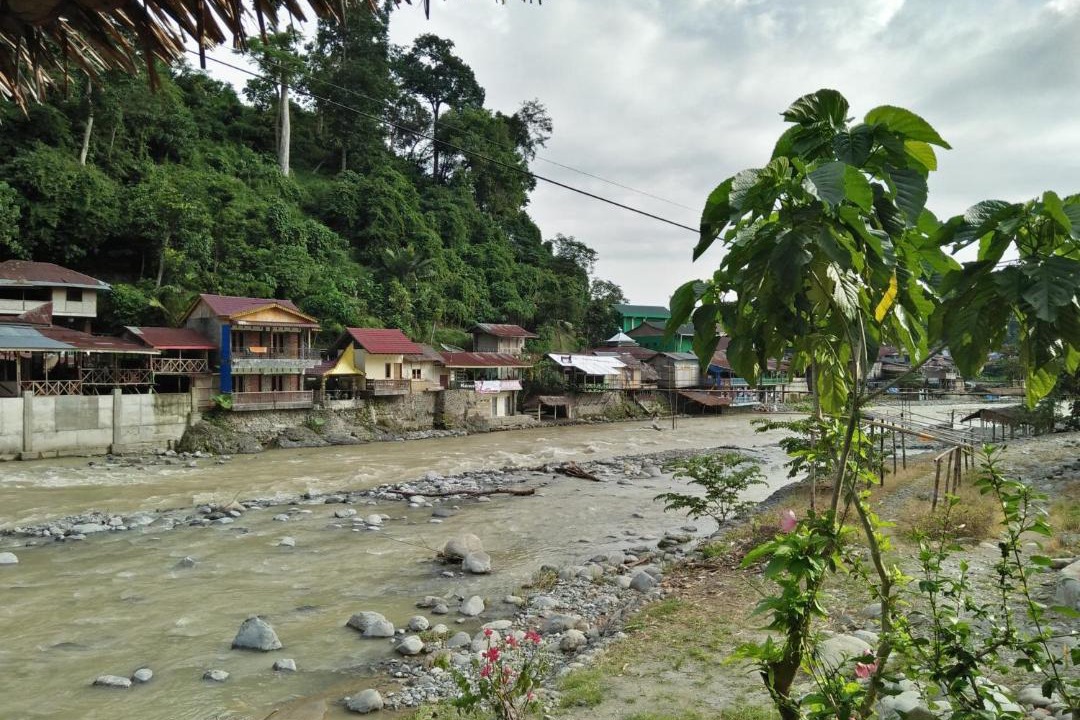 Photo of Others in Bukit Lawang