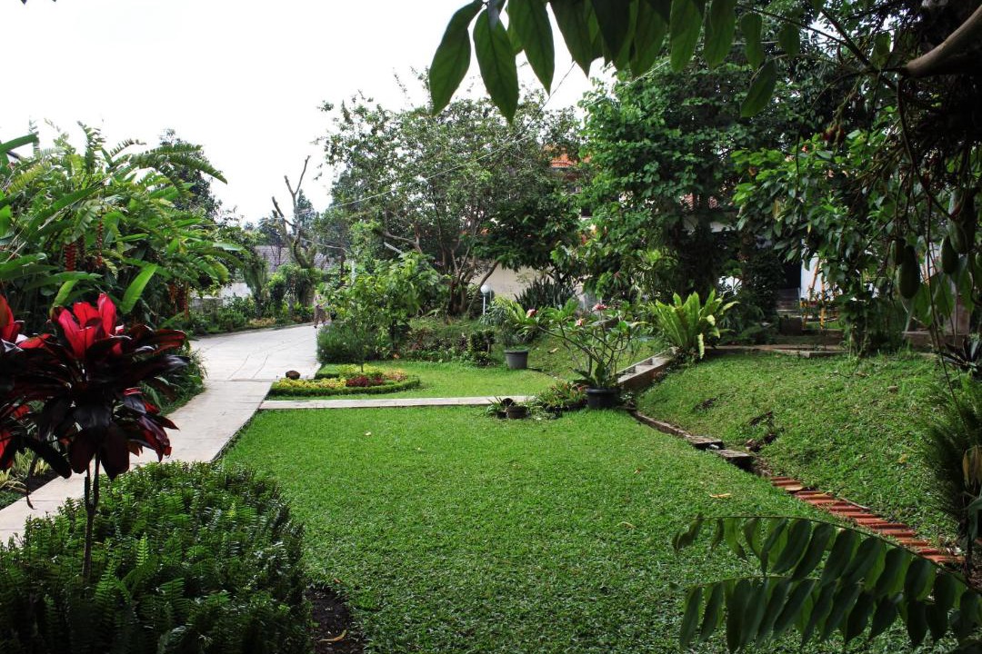 Photo of Others in Dago