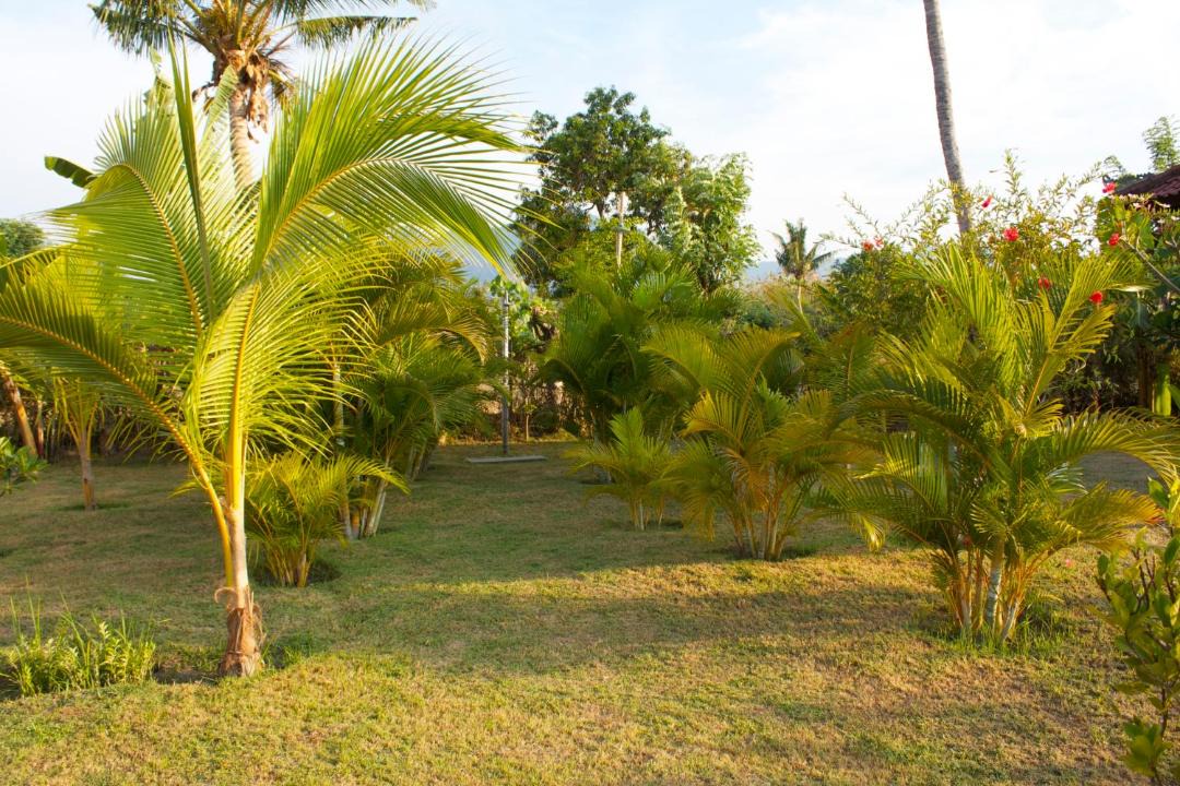 Photo of Others in Pemuteran