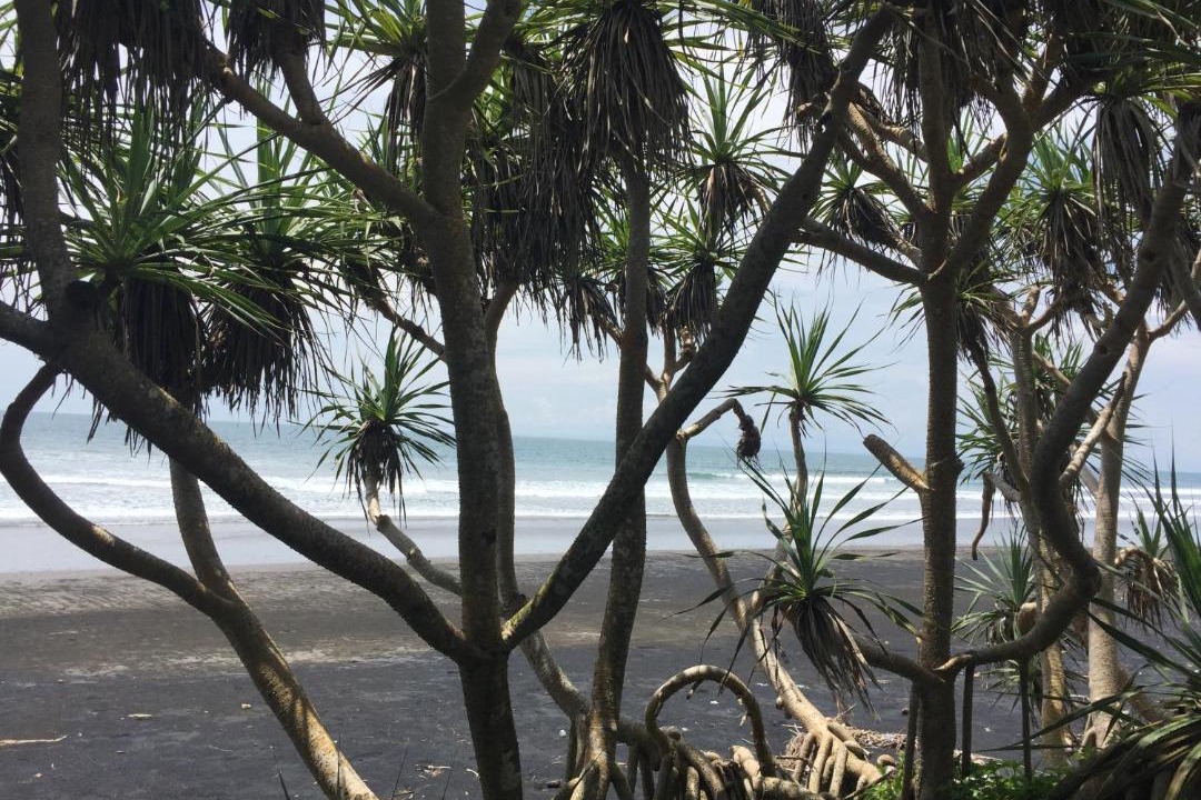 Photo of Outdoor in Pekutatan