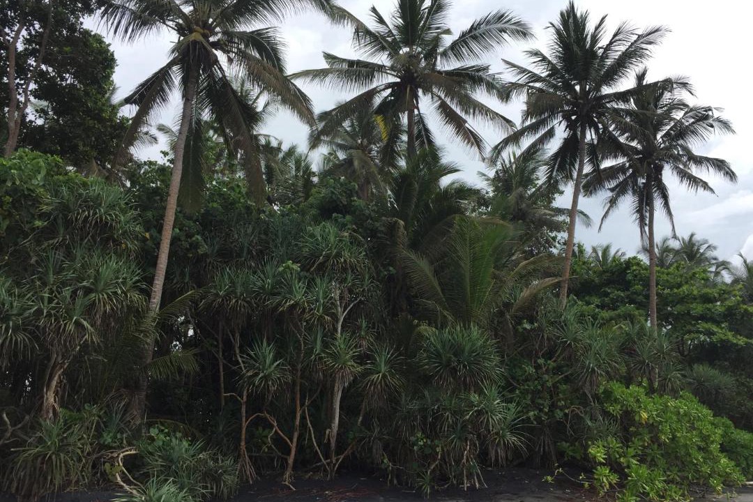 Photo of Outdoor in Pekutatan