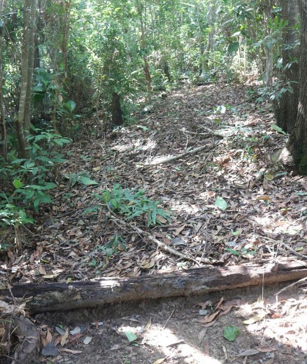 Photo of Others in Kudat