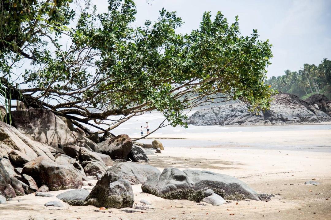 Photo of Others in Lundu