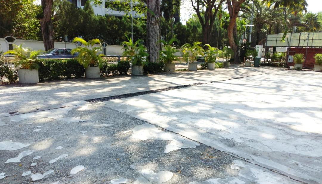 Photo of Others in Downtown George Town