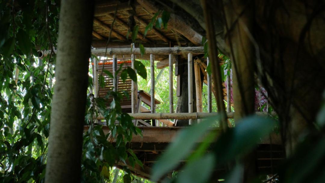 Photo of Others in Palangkaraya