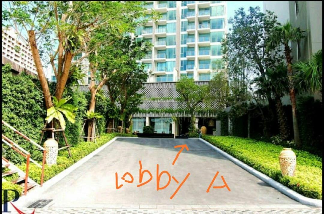 Photo of Others in North Pattaya