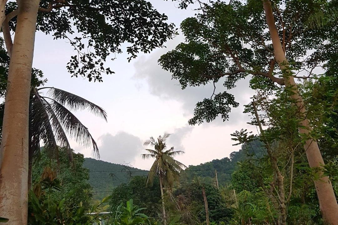 Photo of Others in Bai Lan