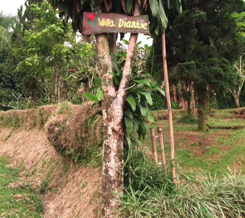 Photo of Others in Tenjolaya